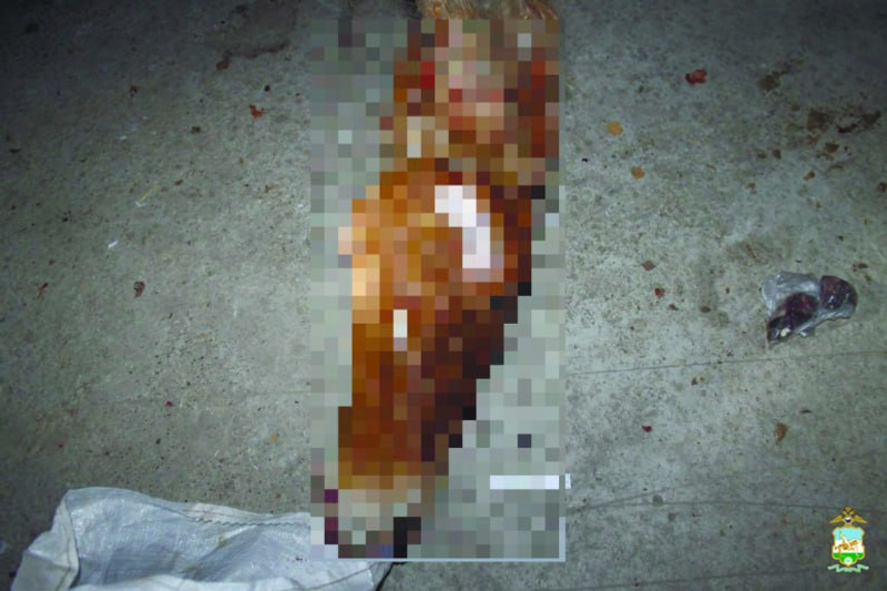 В Башкирии двое охотников, оставшись без добычи, застрелили и разделали лошадь