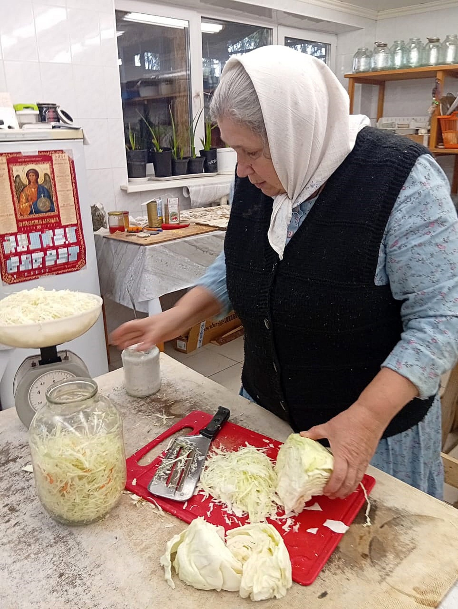 автора Октябрь — самое время заготавливать  капусту.