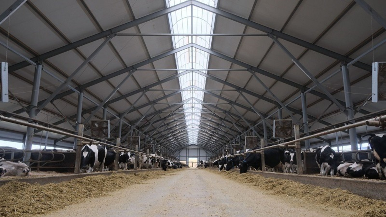 пресс-служба МСХ РБ.