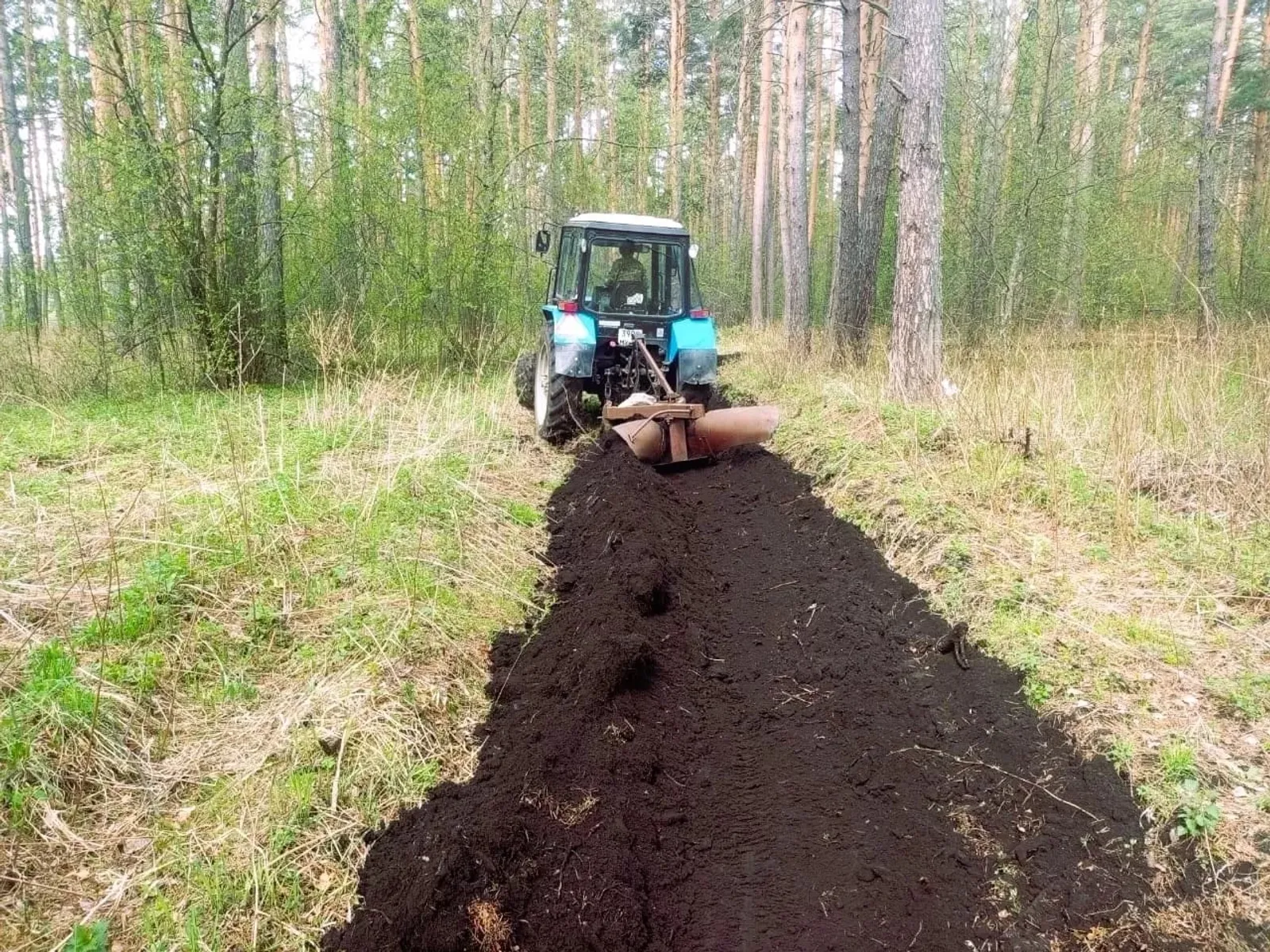 В Башкирии занялись противопожарным обустройством лесов