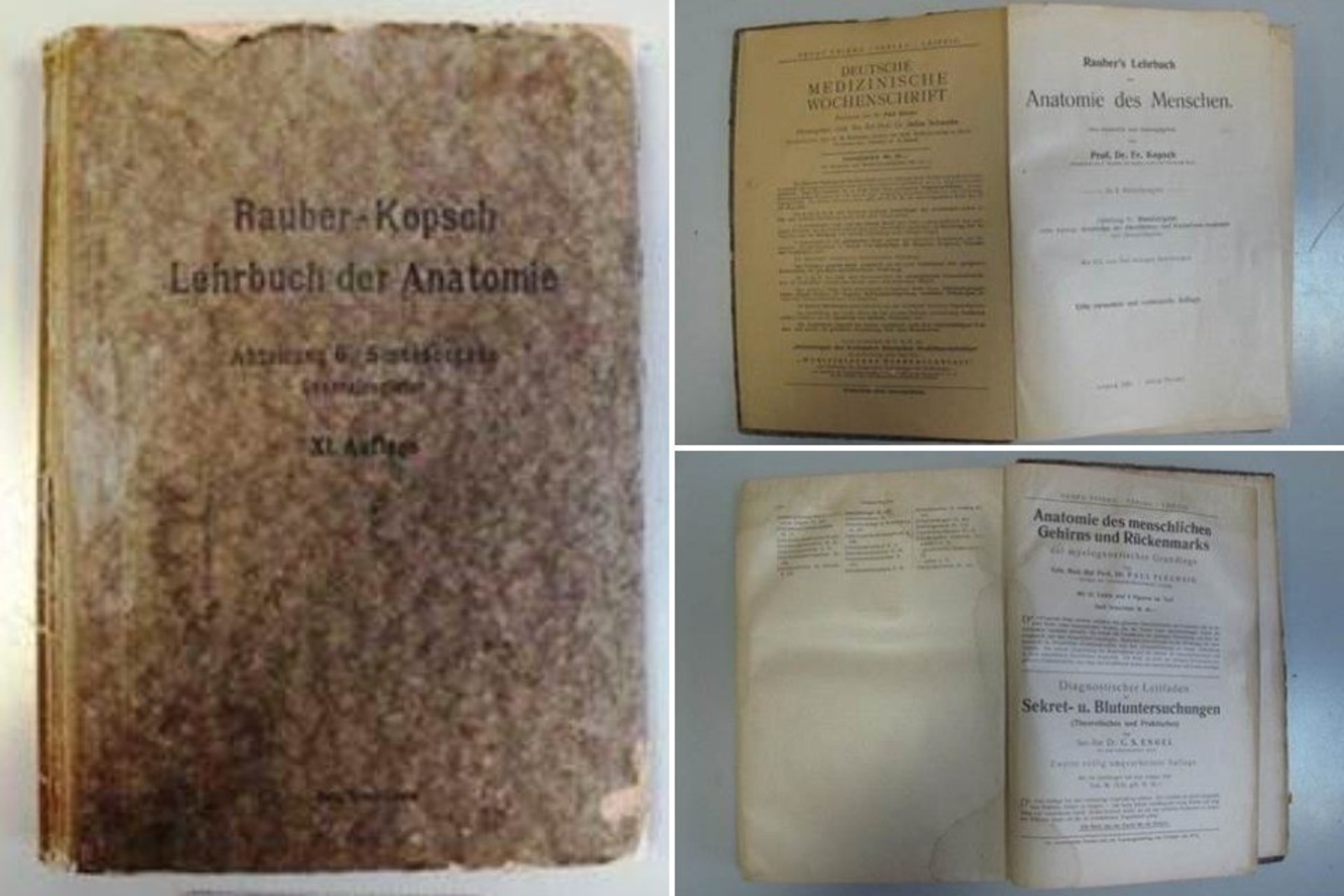 Жительнице Уфы не дали вывезти за границу учебник на немецком языке