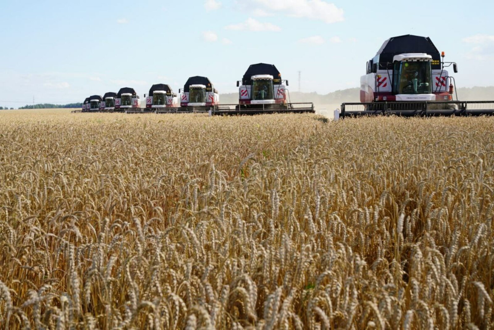 В Башкирии аграрии собрали две трети урожая зерновых