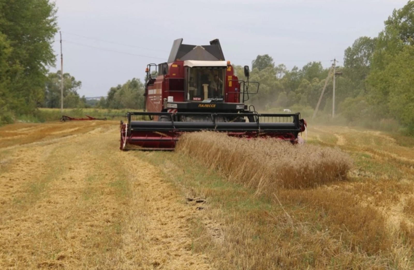 В Башкирии проследят за целевым использованием сельскохозяйственных земель