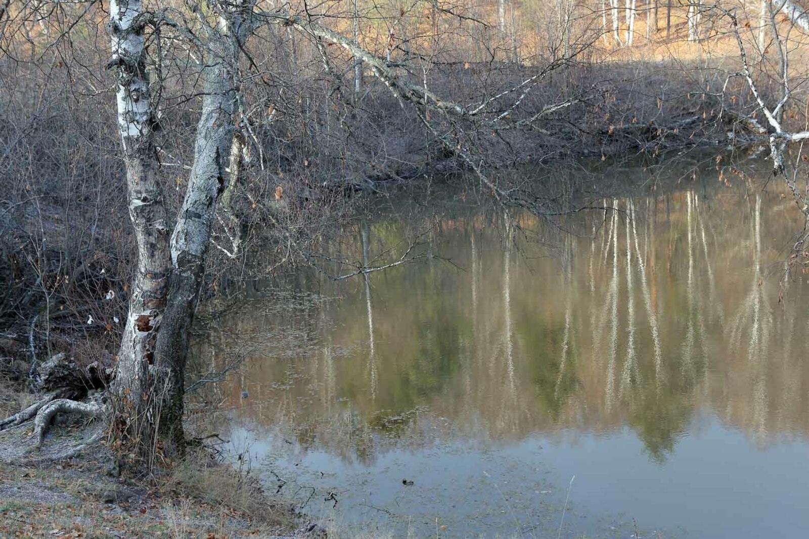 В Башкирии ожидается потепление до 11 градусов