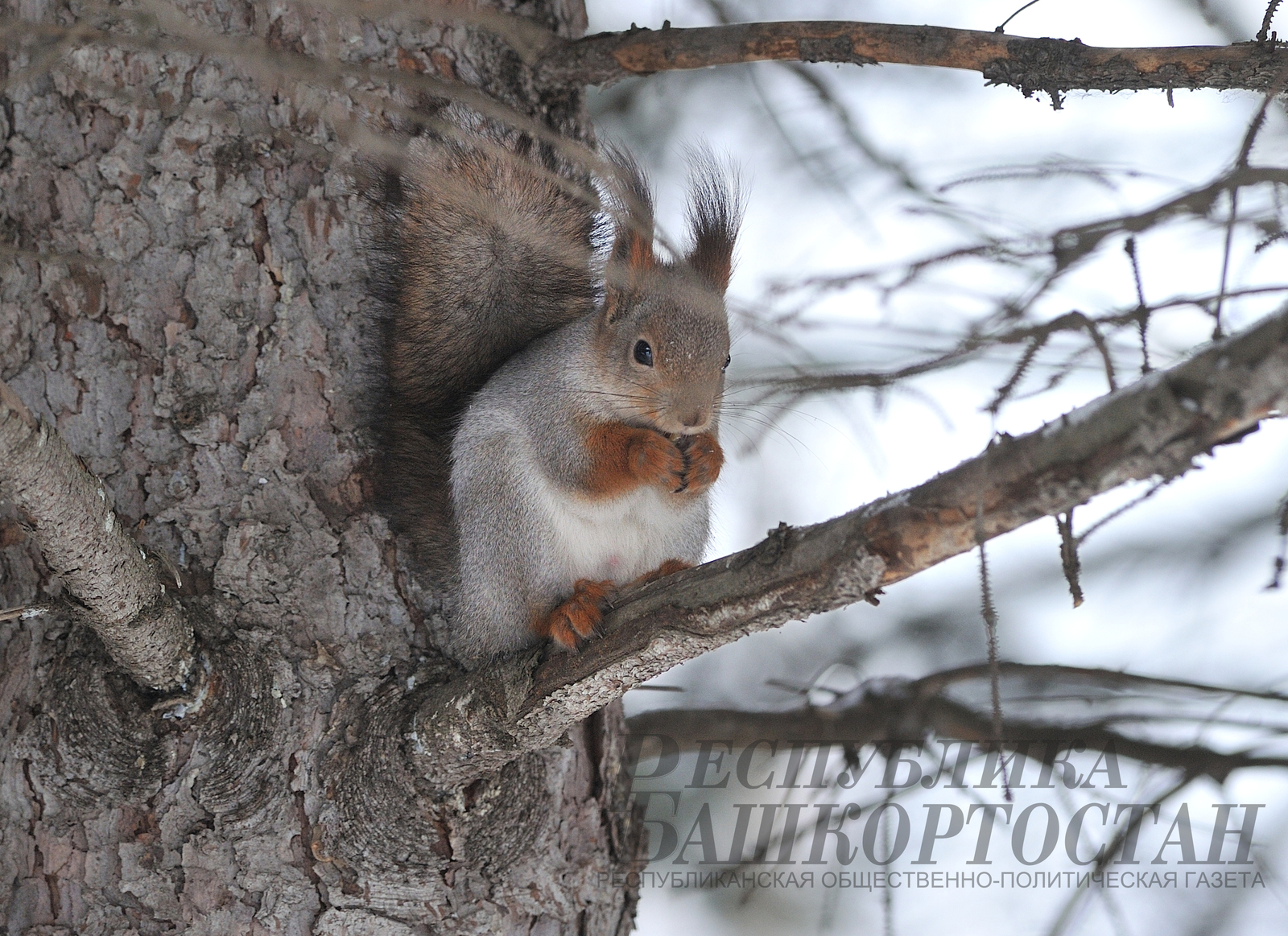 В субботу в Башкирии ожидаются снег и метель