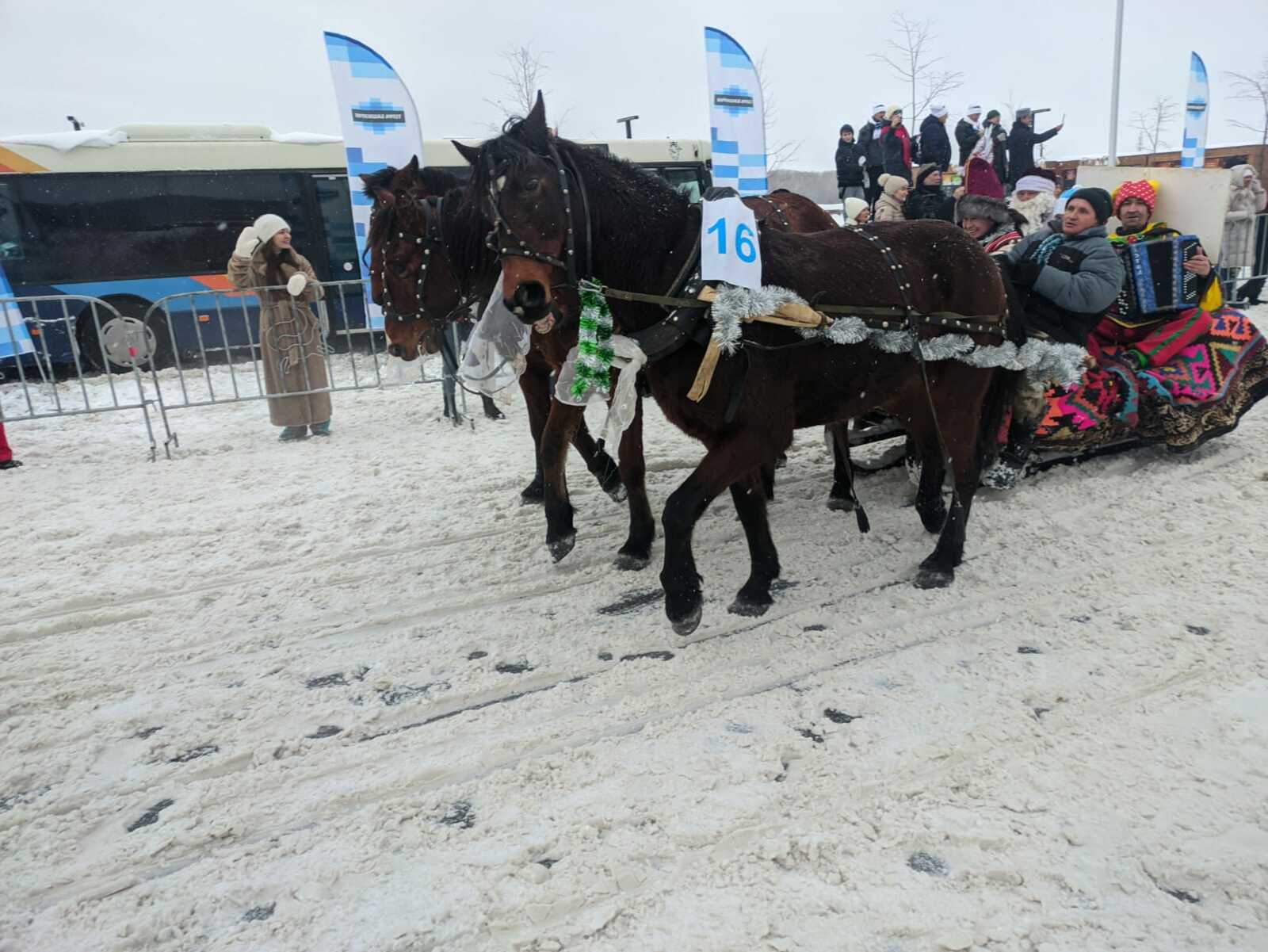 В Уфе состоялся парад конно-санных экипажей