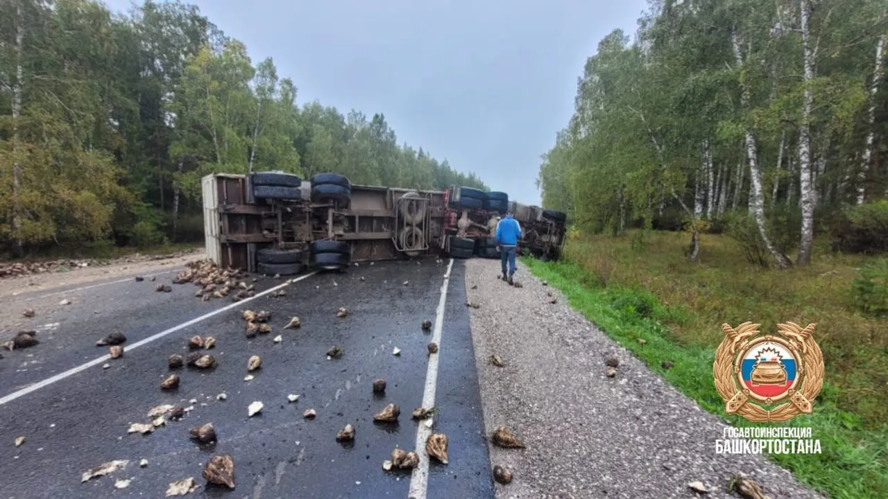 пресс-служба ГИБДД РБ