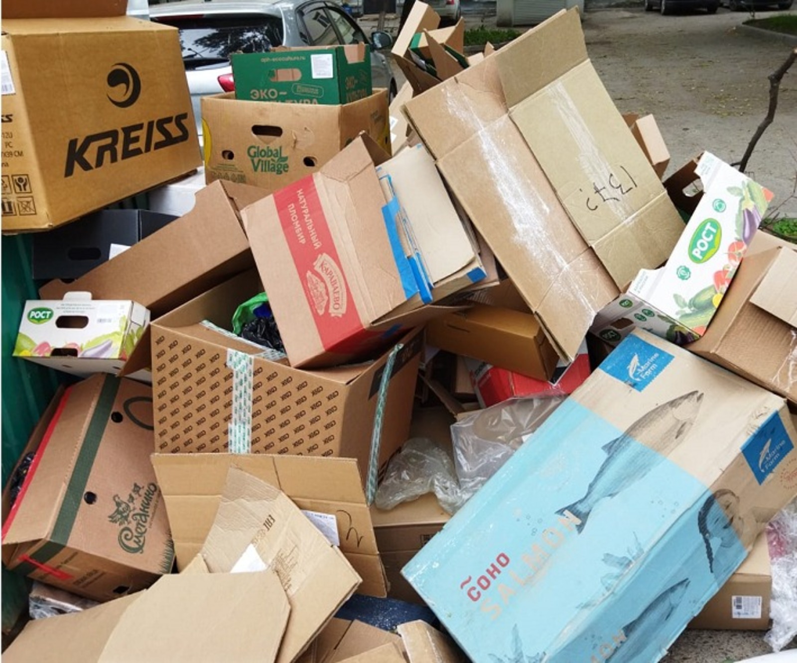 Галина ТРЯСКИНА.